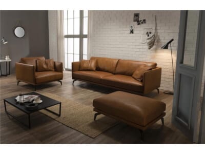 Mẫu sofa cao cấp HM-VE2106
